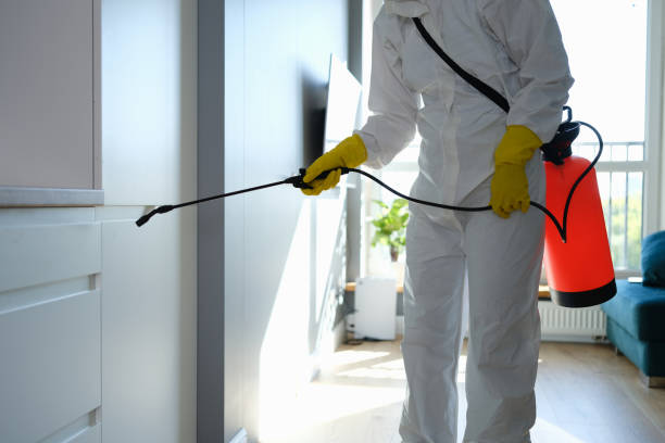 Best Mold Testing and Inspection Services in New Holstein, WI